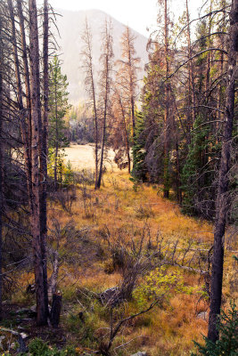 Rocky Mountain National Park