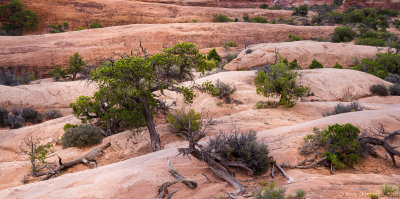 Arches National Park