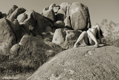 JZ7A0711 (Cast Your Troubles To The Wind)