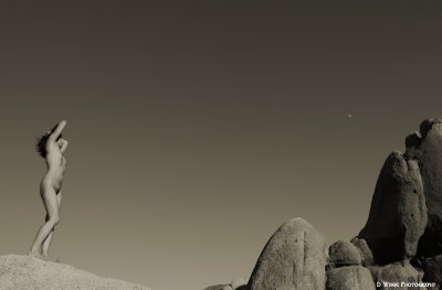 JZ7A1650 (On Distant Shores)