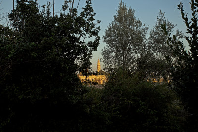 IMG_0680 copy.jpg