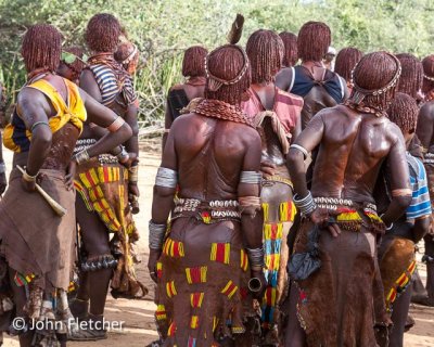 Hamar Women Watching the Ceremony