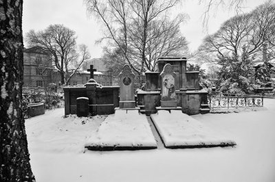 DSC_3343.jpg