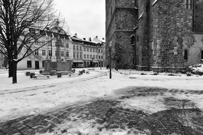 DSC_3385.jpg