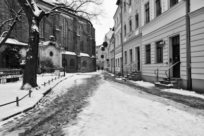DSC_3387.jpg