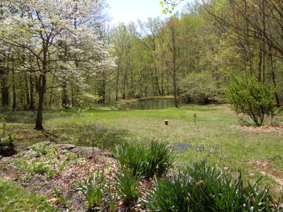 DSCN1935.JPG