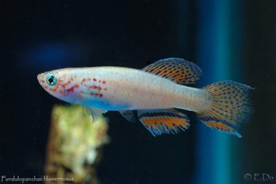 DSC_0361.jpg