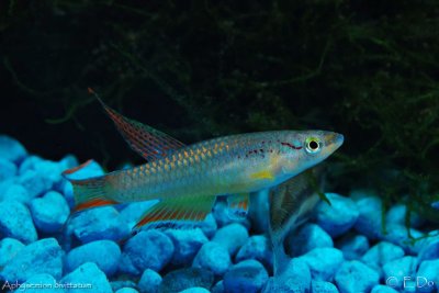 DSC_3010.jpg