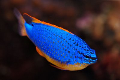 D2X_3225.jpg