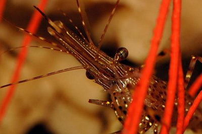 D2X_3266.jpg