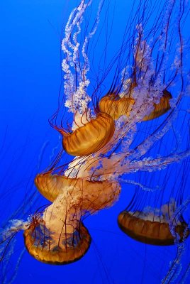 DSC_5669.jpg