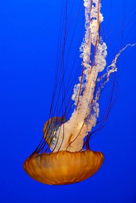 DSC_5673.jpg