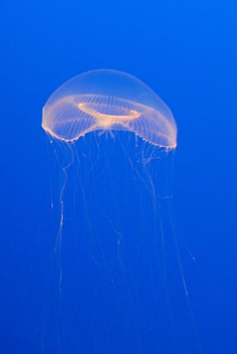 DSC_5679.jpg