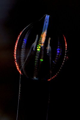 DSC_5689.jpg
