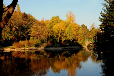 Herbststimmung im Wasserpark.jpg