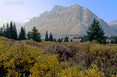 Banff NP