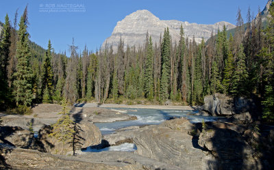 Jasper NP