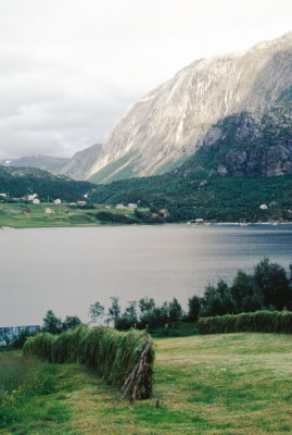 DK69-70-225.jpg