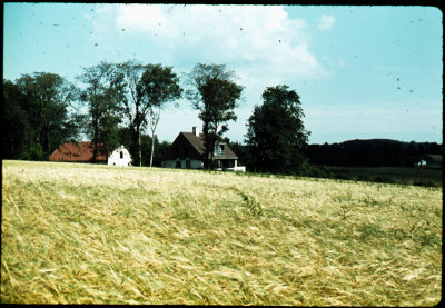 DK69-70-30.jpg