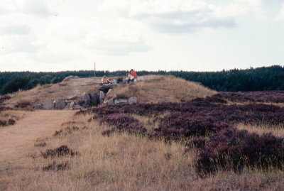 DK69-70-66.jpg
