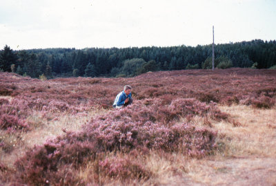 DK69-70-68.jpg
