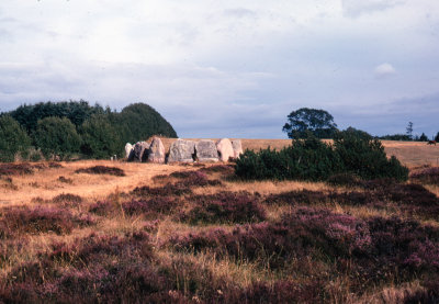 DK69-70-72.jpg