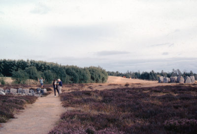 DK69-70-74.jpg