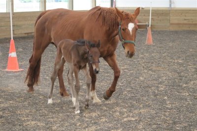 Mom and Baby Tory