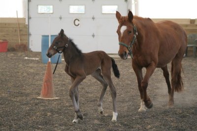 Mom and Baby Tory