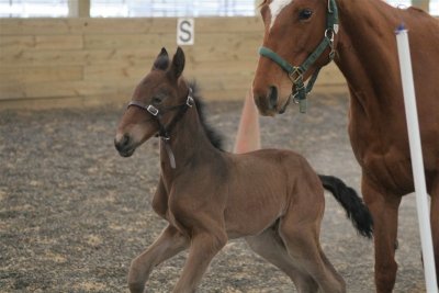 Mom and Baby Tory