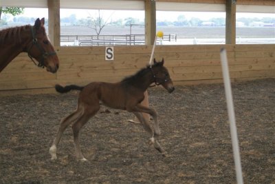 Mom and Baby Tory