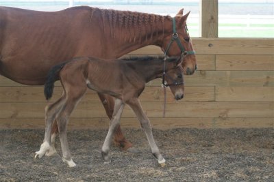 Mom and Baby Tory