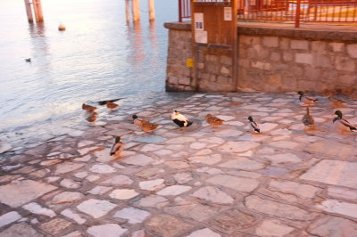 DSCF1069.jpg