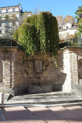 DSCF0929.jpg