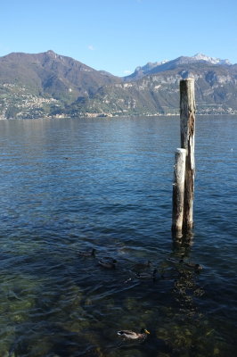 DSCF0887.jpg
