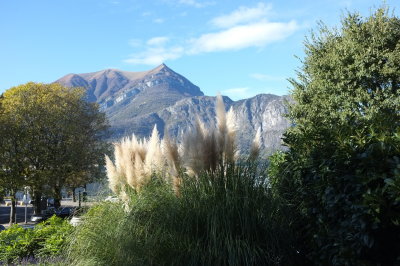 DSCF0868.jpg