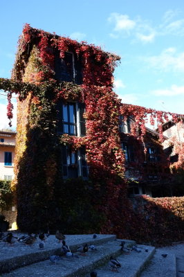 DSCF0851.jpg