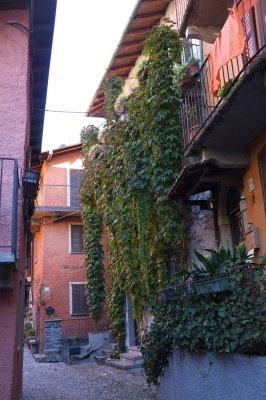 DSCF0837.jpg