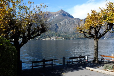 DSCF0819.jpg