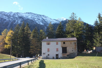 DSCF0781.jpg