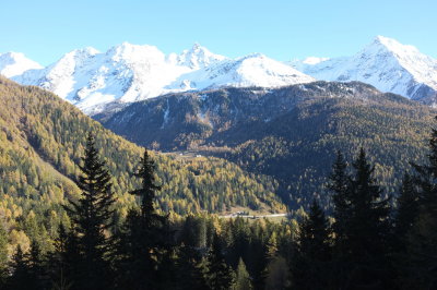 DSCF0775.jpg
