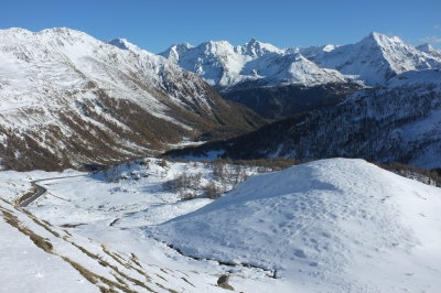 DSCF0771.jpg