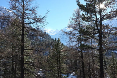DSCF0770.jpg