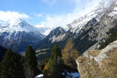 DSCF0748.jpg
