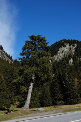 DSCF0739.jpg