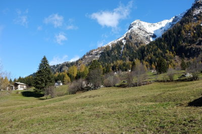 DSCF0732.jpg