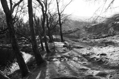 DSCF1348.jpg