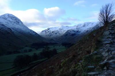 DSCF1317.jpg
