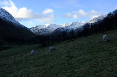DSCF1313.jpg