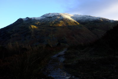 DSCF1295.jpg